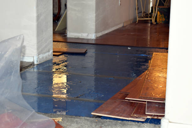 Professional Burst Pipe Cleanup technician working in Era, TX